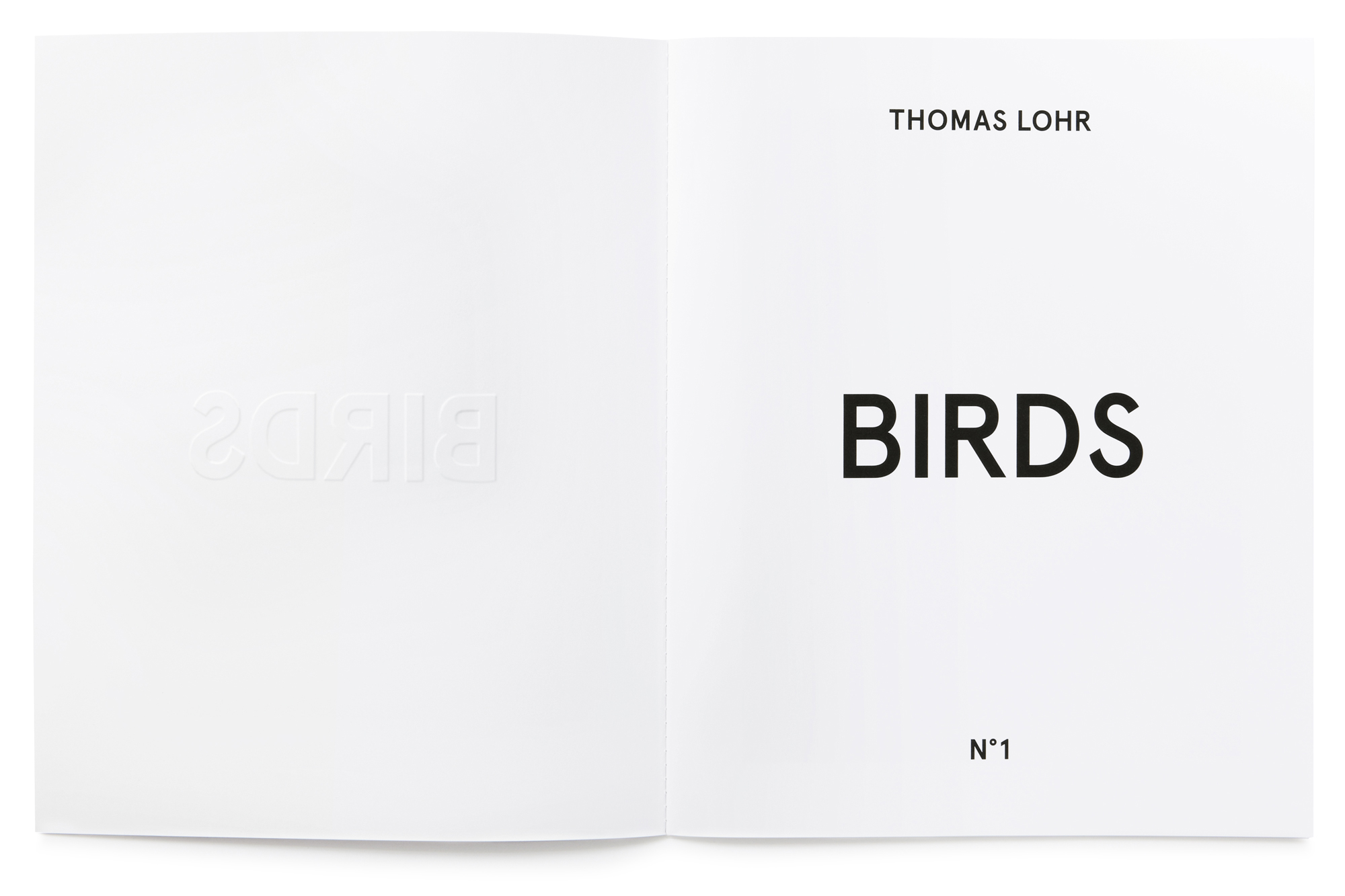 Daniel Baer – Birds&nbsp;&ndash; Publication. <i>Thomas&nbsp;Lohr</i> 3